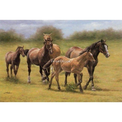 Koně 1 deska 50x40