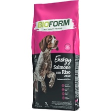 Bio Form Energy 28/20 Adult Salmon 20 kg