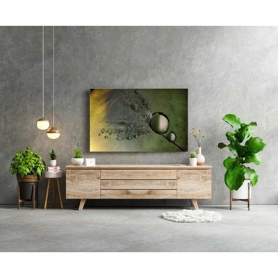 Divio Obraz na plátně, vzor 20351 Velikost: 60x90 cm
