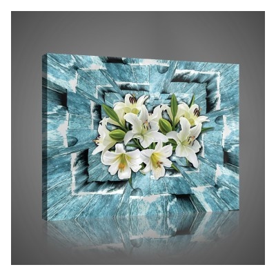 Obraz na plátne obdĺžník - OB1035 - Biele kvety 80cm x 60cm - O6