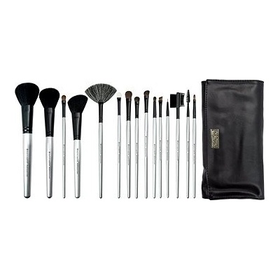 Royal & Langnickel Brush Essentials Kit 15 ks Silver