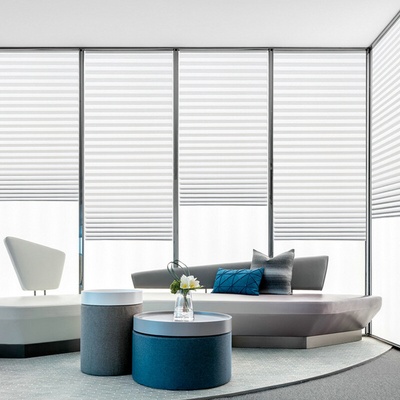 ELEMENTRIX ZAL9 plisé samolepiaca roleta 90 x 180 cm biela