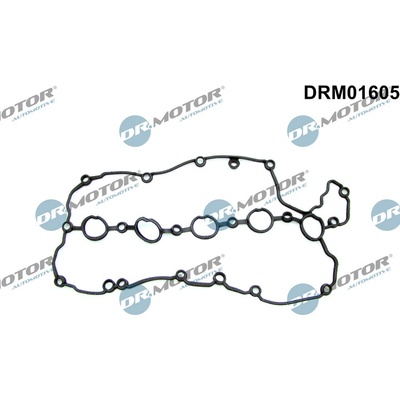 DR.MOTOR AUTOMOTIVE Tesnenie veka hlavy valcov DRM01605