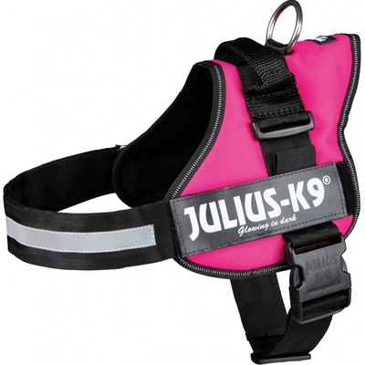 Julius K9 IDC Postroj Power