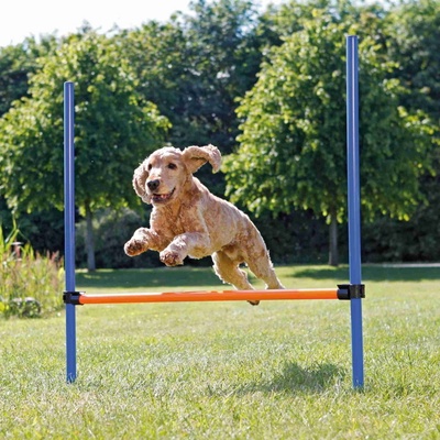 Trixie AGILITY prekážka 3 tyče/129x115x3cm