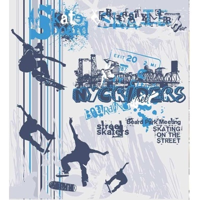 Dimex MS-3-0313 vliesová fototapeta na zeď Skate rozměry 225 x 250 cm