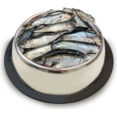 Sokol Falco Šproty 0,5 kg – Hledejceny.cz