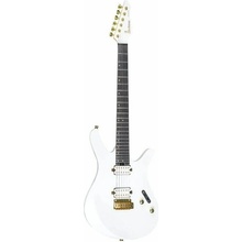Divitone DSG-10