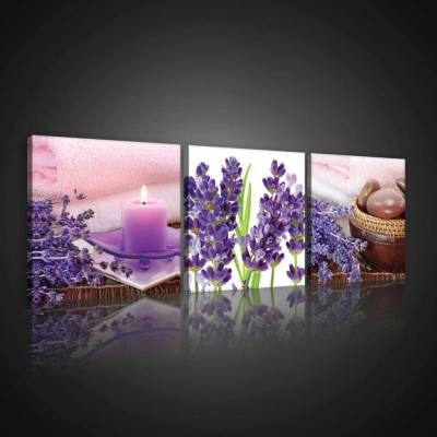Consalnet Obraz na plátně: Levandule (1) - set 3ks 25x25cm