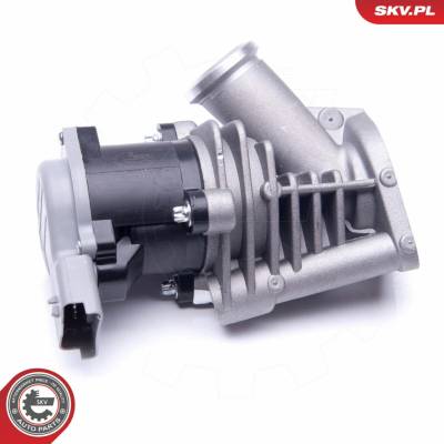 AGR-Ventil ESEN SKV 14SKV173