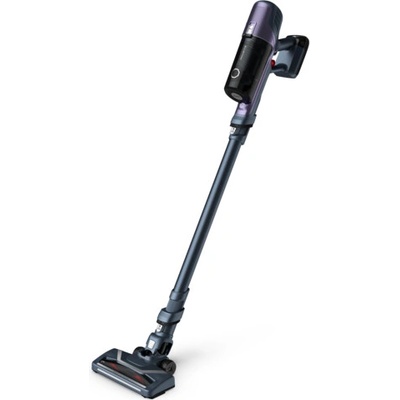 Rowenta RH6838WO