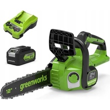 Greenworks GD24C