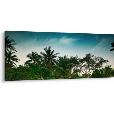 Obraz - palmy, jednodílný 120x50 cm