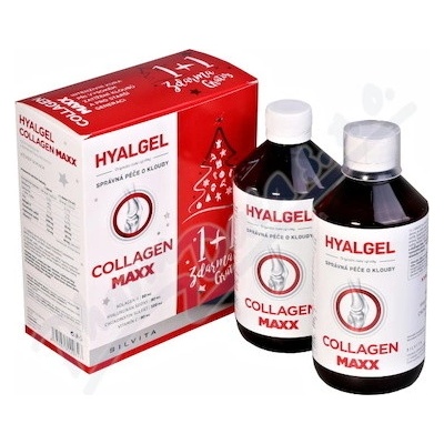 Hyalgel Collagen Maxx vánoční 2 x 500 ml