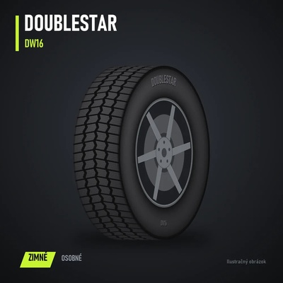 DoubleStar DW16 205/55 R17 95T