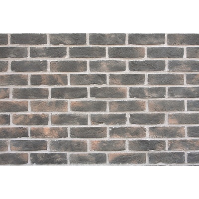 Wild Stone Holland Brick 305 fasádní nevada šedobéžová 21 x 6 cm 1m² – Hledejceny.cz