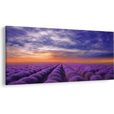 Obraz levanduľového pole, jednodielne 250x125 cm