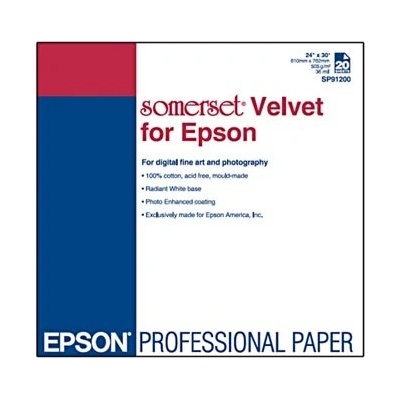 Epson C13S041699