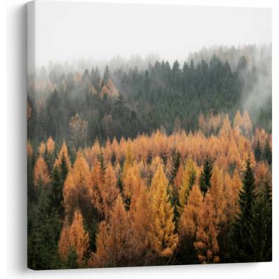 Obraz - Jesenný les, jednodielne 50x50 cm