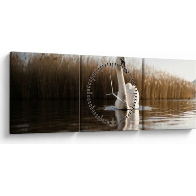 Obraz labute (s hodinami), trojdielne 90x30 cm s hodinami