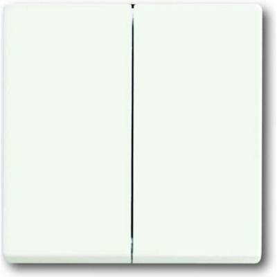 Busch-Jaeger 2CKA001751A3024