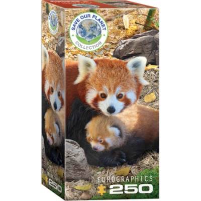 Eurographics Red Pandas 250 dílků