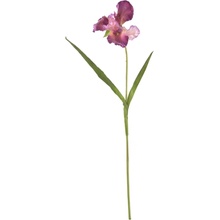 Indecor Umelý kosatec tmavofialový 95 cm
