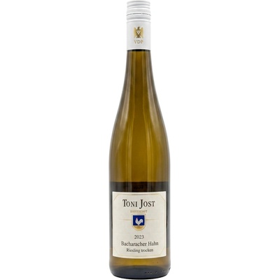 Toni Jost Riesling Bacharacher Hahn trocken Mittelrhein 2023 0,75 l (holá láhev)