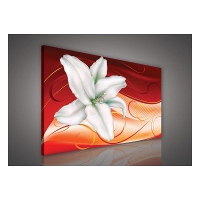 Obraz na plátne obdĺžník - OB0166 - Biely kvet 100cm x 75cm - O1
