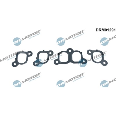 DR.MOTOR AUTOMOTIVE Sada tesnení kolena nasávacieho potrubia DRM01291