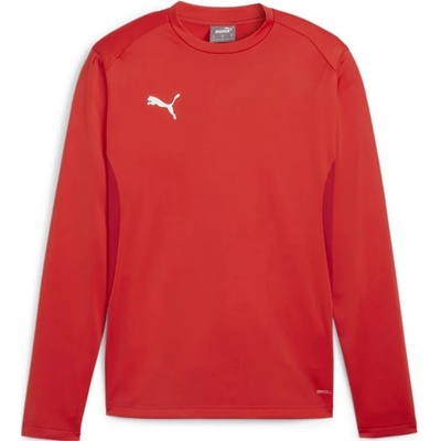 Puma teamGOAL Training Sweatshirt 658649-01