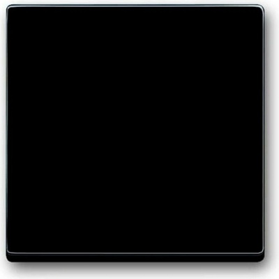 Busch-Jaeger 2CKA001751A2926