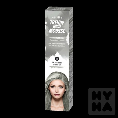 Trendy barevné tužidlo 11 stříbrný prach