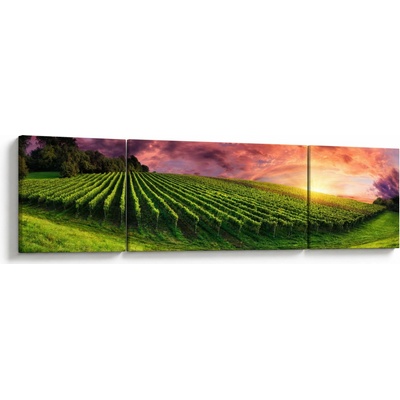 Obraz vinice s farebným nebom, trojdielne 170x50 cm