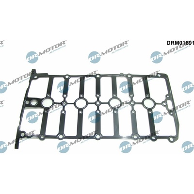 DR.MOTOR AUTOMOTIVE Tesnenie veka hlavy valcov DRM01691