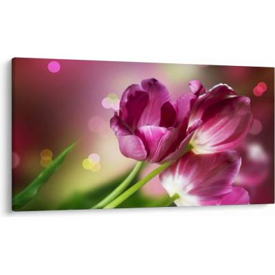 Obraz ružových tulipánov, jednodielne 120x70 cm