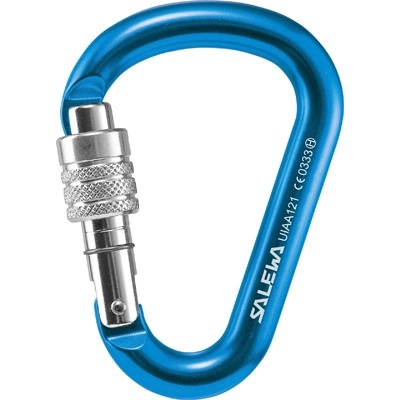 Salewa HMS G2