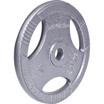 inSPORTline ocel 20 kg 30 mm – Hledejceny.cz
