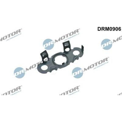 DR.MOTOR AUTOMOTIVE Tesnenie výpustnej skrutky oleja DRM0906