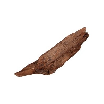 Kořen desert driftwood XS 15-20 cm – Hledejceny.cz