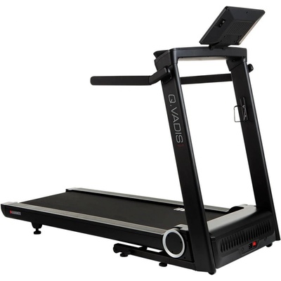 HAMMER Q.Vadis 10.0