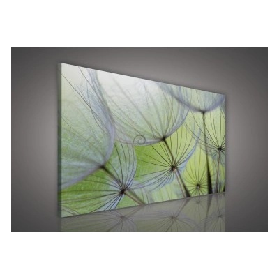 Obraz na plátne obdĺžník - OB0147 - Púpava 100cm x 75cm - O1