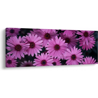 Obraz růžových květů, jednodílný 100x40 cm