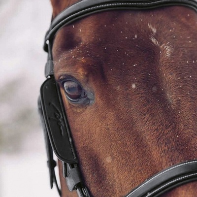 Dy'on Blinkers hnědé – Hledejceny.cz