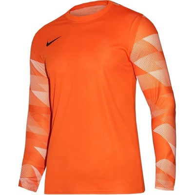 Nike Dry Park IV JSY LS GK Jr CJ6072-819