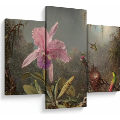 Obraz - Martin Johnson Heade, Cattleya Orchid and Three Hummingbirds, reprodukcia, trojdielne 90x60 cm