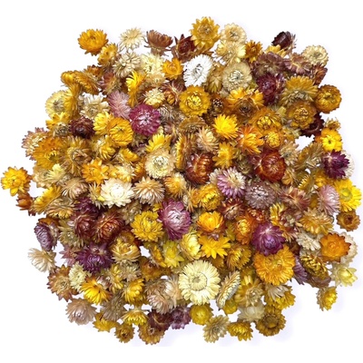Sušené slamienky - hlavičky Helichrysum 100g - farbný mix
