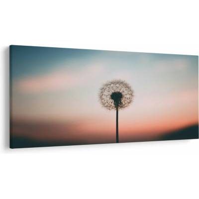 Obraz - Držím ťa, púpava, jednodielne 250x125 cm