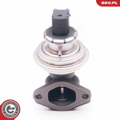 AGR-Ventil ESEN SKV 14SKV129