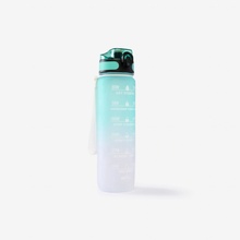 Phoenix Motivation 1 l